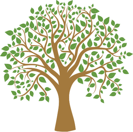 Download Tree Graphic Png - Sociology: The Basics [book] PNG Image with ...