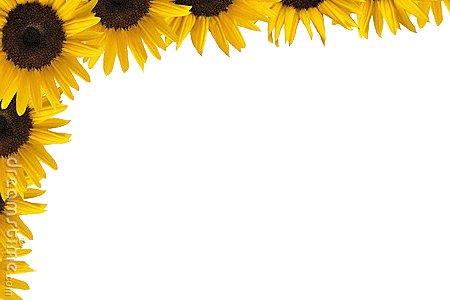 Sunflowerborder - Sunflower Border - Free Transparent PNG ...