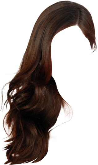 Download Lace Wig PNG Image with No Background - PNGkey.com