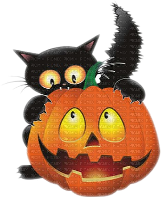 Download Black Cat Halloween Pumpkin Chat Noir Halloween Black Cat Png Image With No Background Pngkey Com