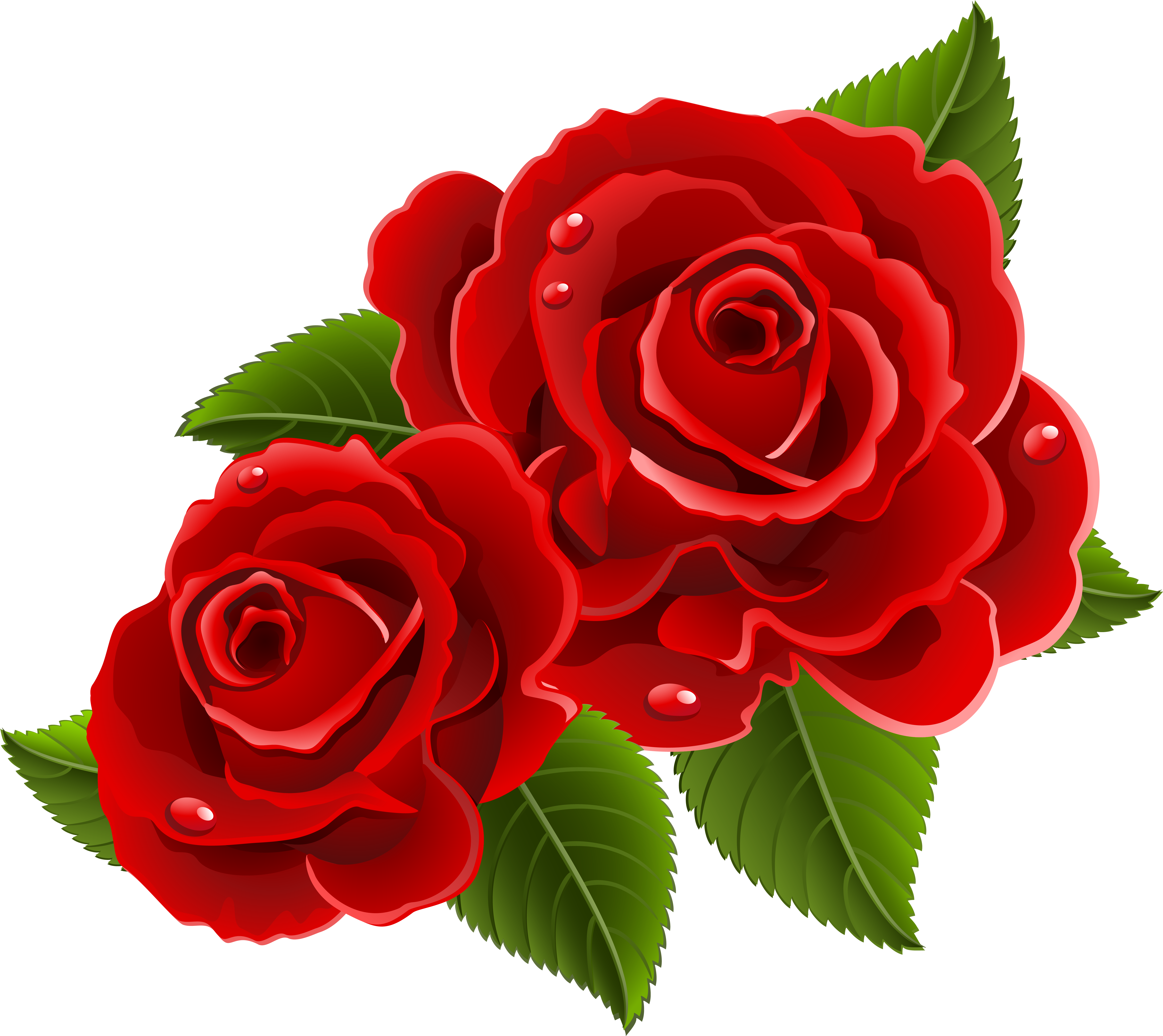 Beautiful Clipart Red Rose - Beautiful Red Rose Flowers - Free ...