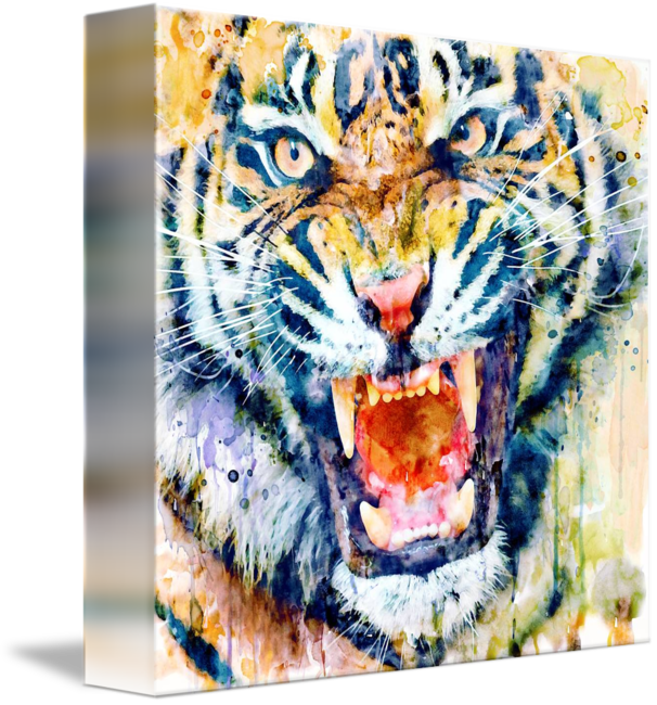 Tiger Face Watercolor Closeup By Marian Voicu - Watercolor Painting ...