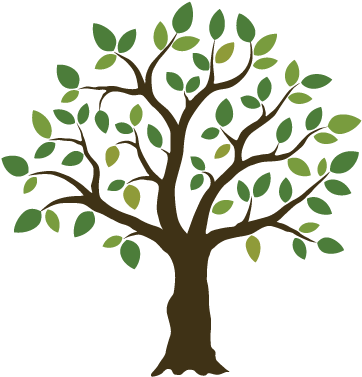 Download Logo Tree Png Tree Illustration Png Image With No Background Pngkey Com