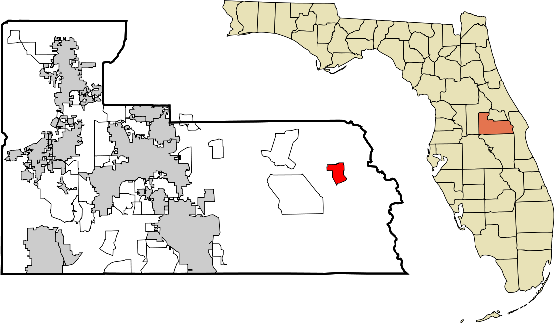 Download Tangerine County Florida PNG Image with No Background - PNGkey.com