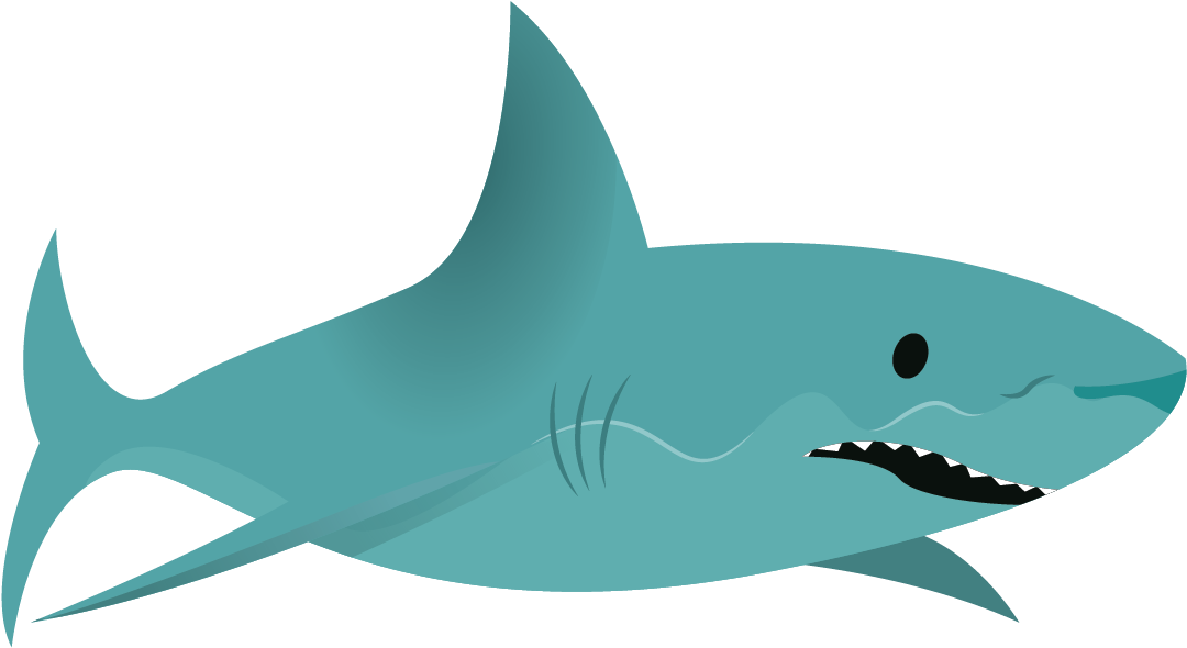 Download Shark - Squaliformes Png Image With No Background - Pngkey.com