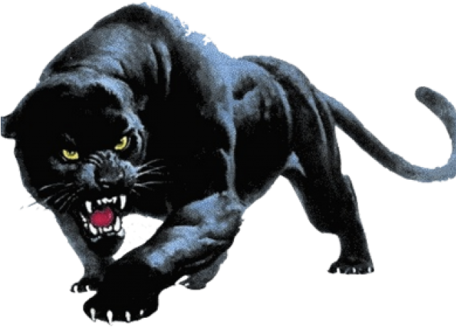 Download Black Panther Png Transparent Images - Devon Meadows Football