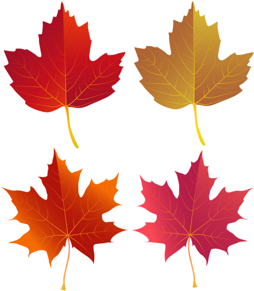 Download Set Of Autumn Leaves Png Clip Art - Politics Of War By Jean ...