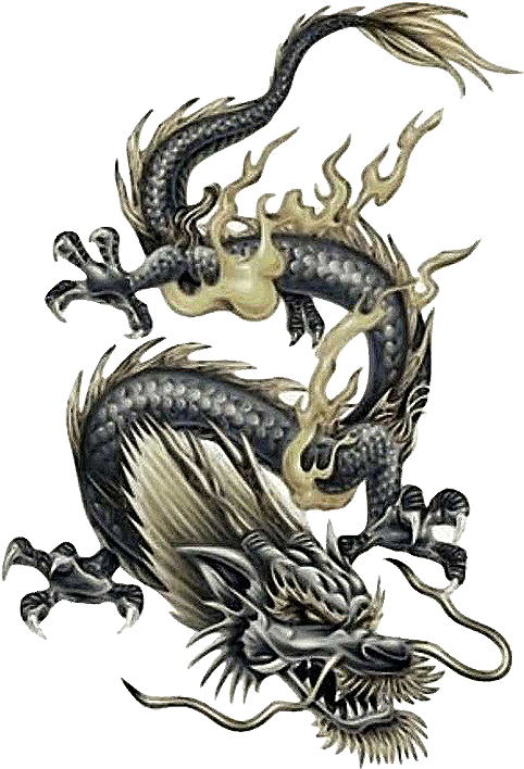Chinese Dragon Tattoo Design - Free Transparent PNG Download - PNGkey