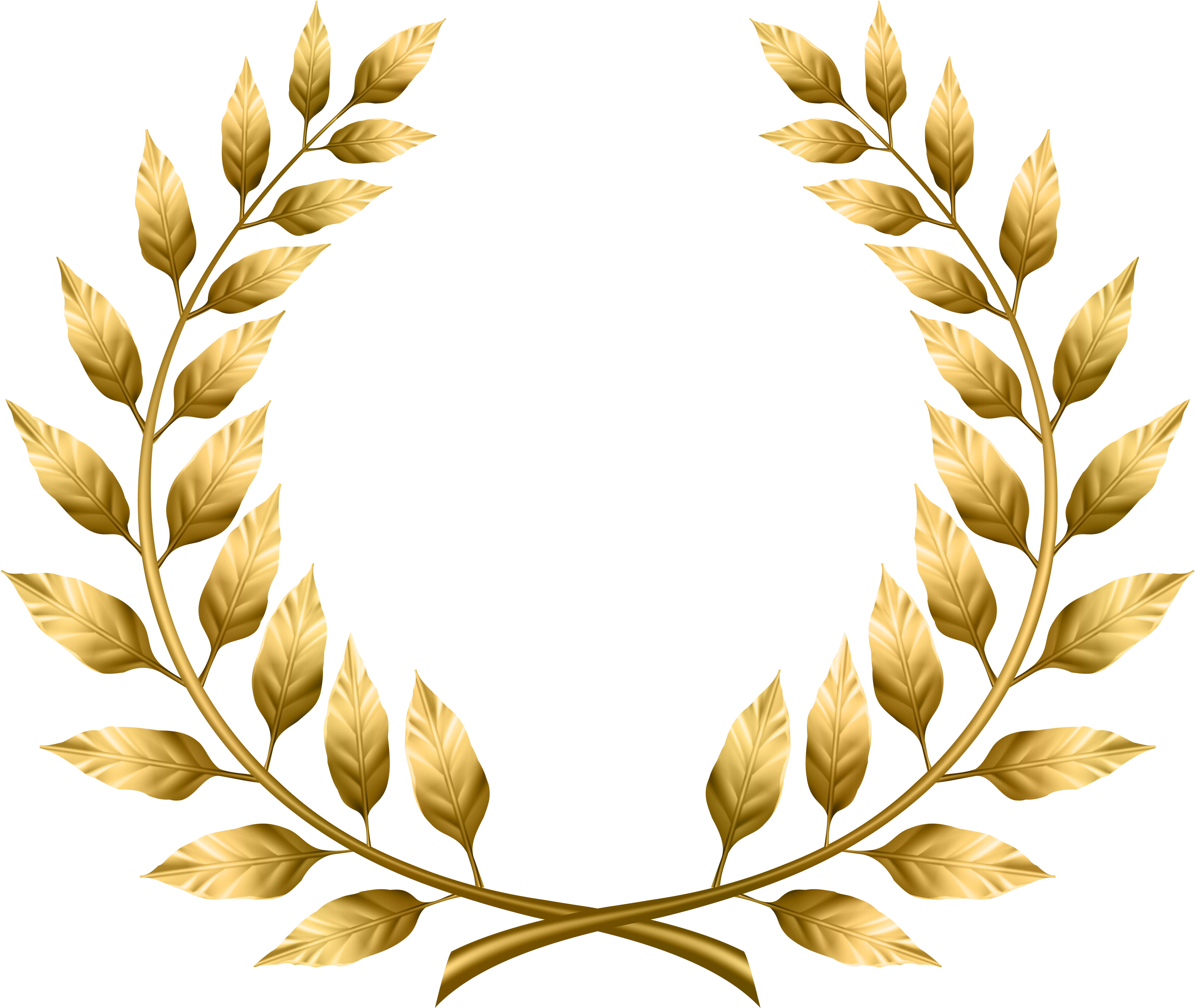 Laurel Leaf Transparent Background