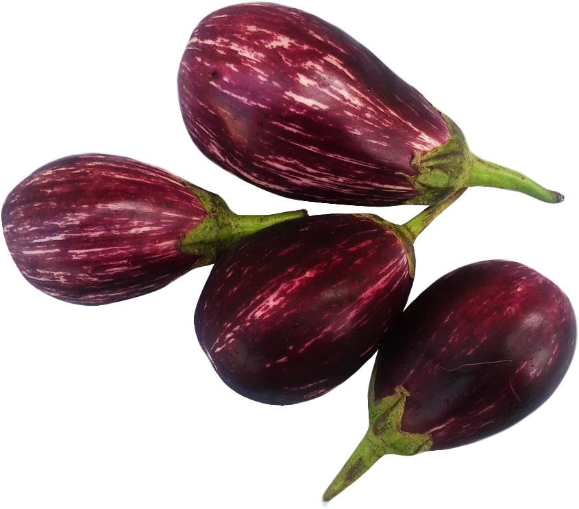 Download Png Freeuse Brinjal Png Image Purepng Free Cc Library ...