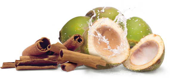 Buy Now - Green Coconut Coconut Png (571x268), Png Download