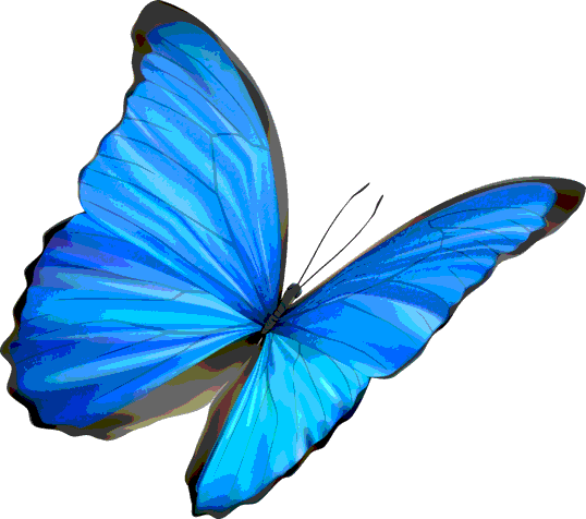 Life Is Strange Butterfly Png - Free Transparent PNG Download - PNGkey