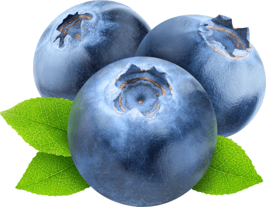 Download Free Png Blueberries Png Images Transparent Transparent