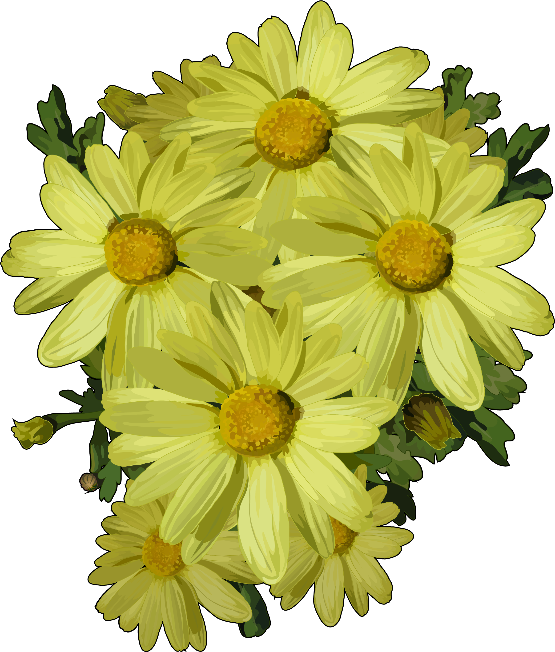 Download Margaritas De Flores Png PNG Image with No Background - PNGkey.com