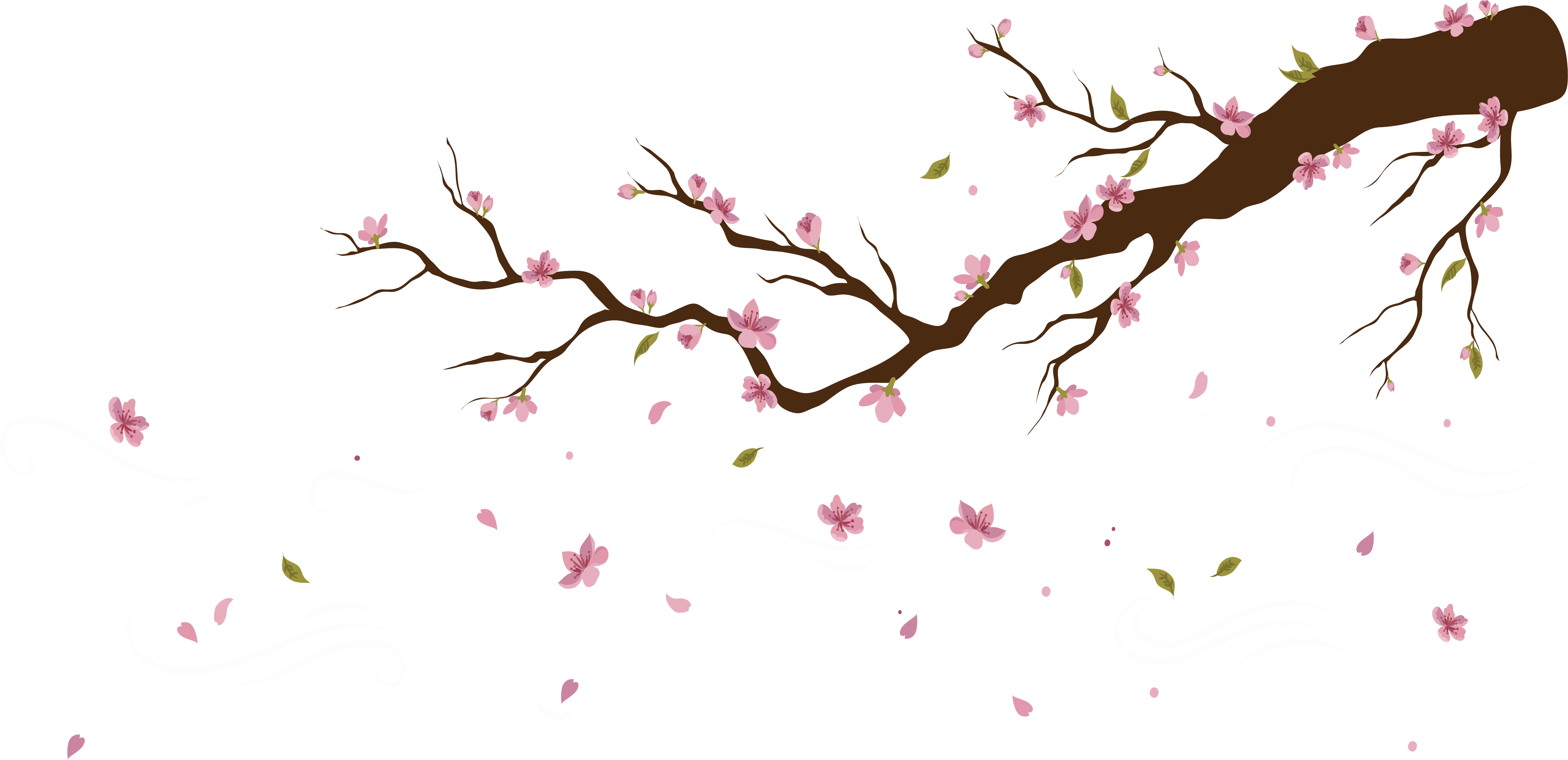 Download Cherry Blossom Petals Falling Png Png Falling Petals Png Image With No Background Pngkey Com