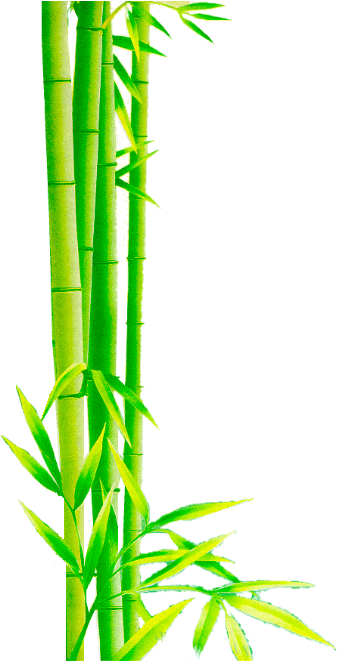 download bamboo border png download portable network graphics png image with no background pngkey com download bamboo border png download