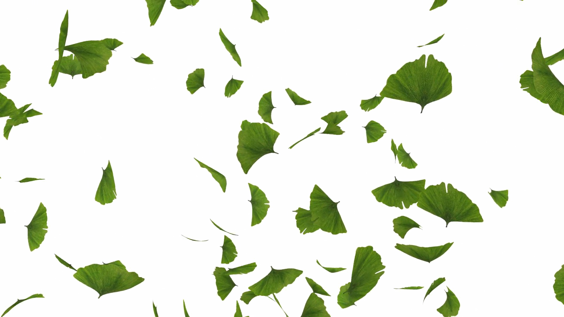 Falling Green Leaves Free Png Image - Green Leaves Png - Free