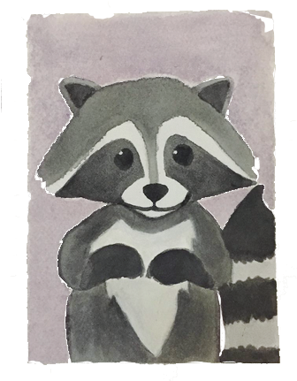 Rocky Raccoon - Procyon - Free Transparent PNG Download - PNGkey