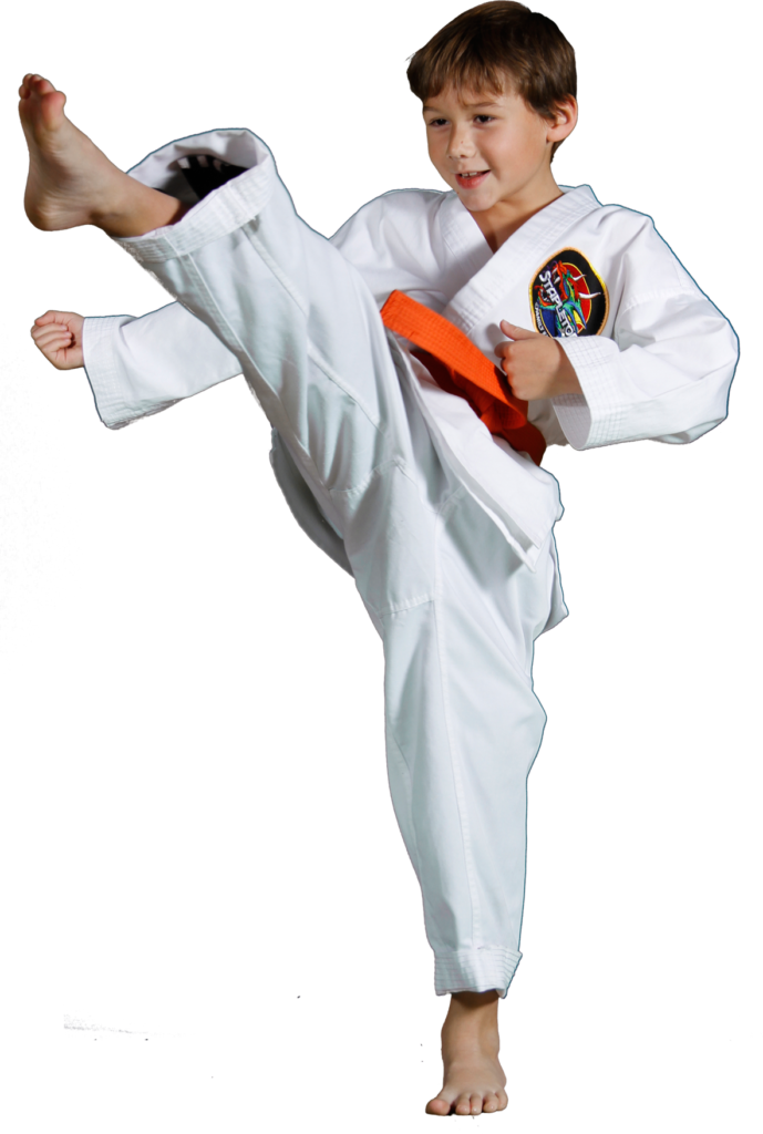 Download Karate Kids Pic - Taekwondo PNG Image with No Background ...