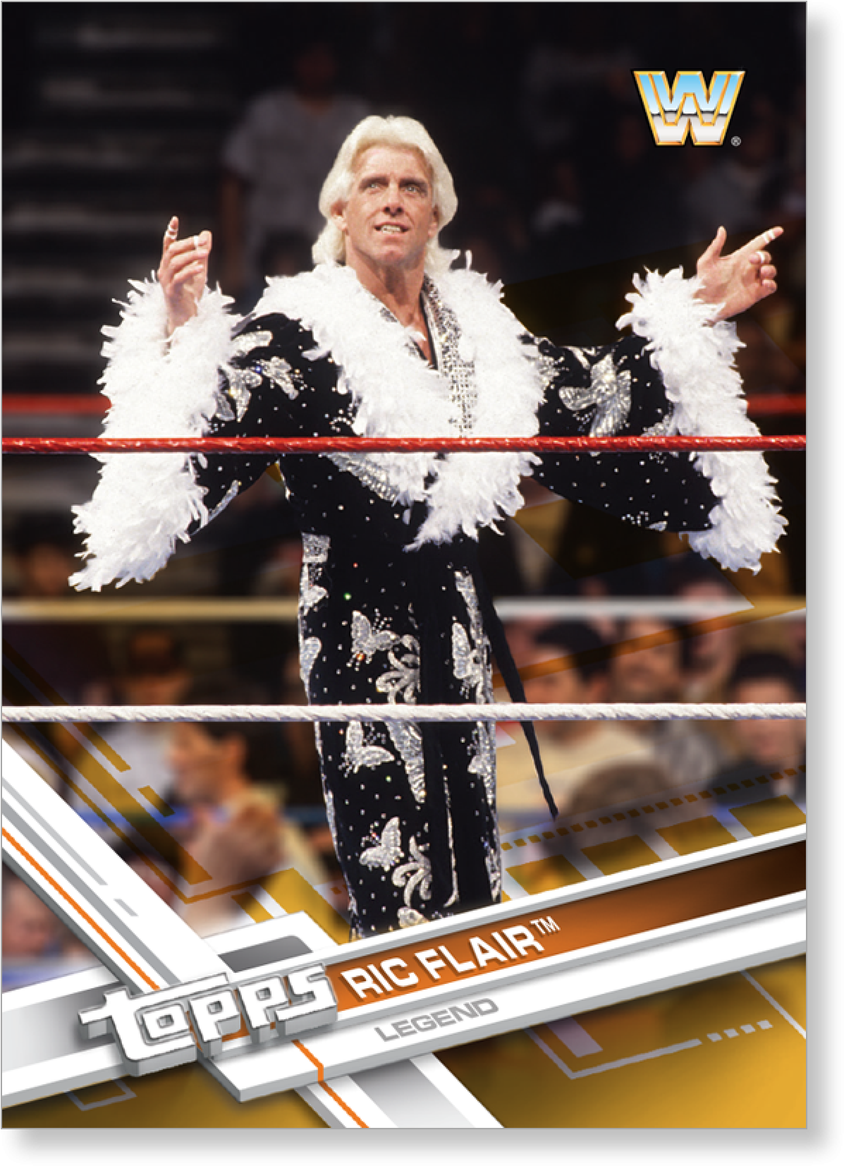 Download Ric Flair Png PNG Image with No Background - PNGkey.com