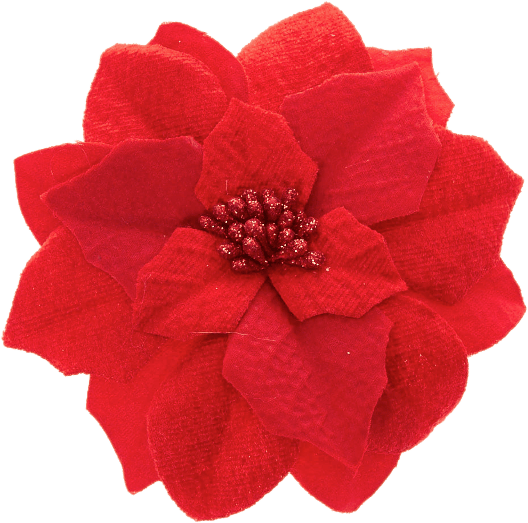 Download Artificial Poinsettia - Transparent Blue Poinsettia PNG Image ...