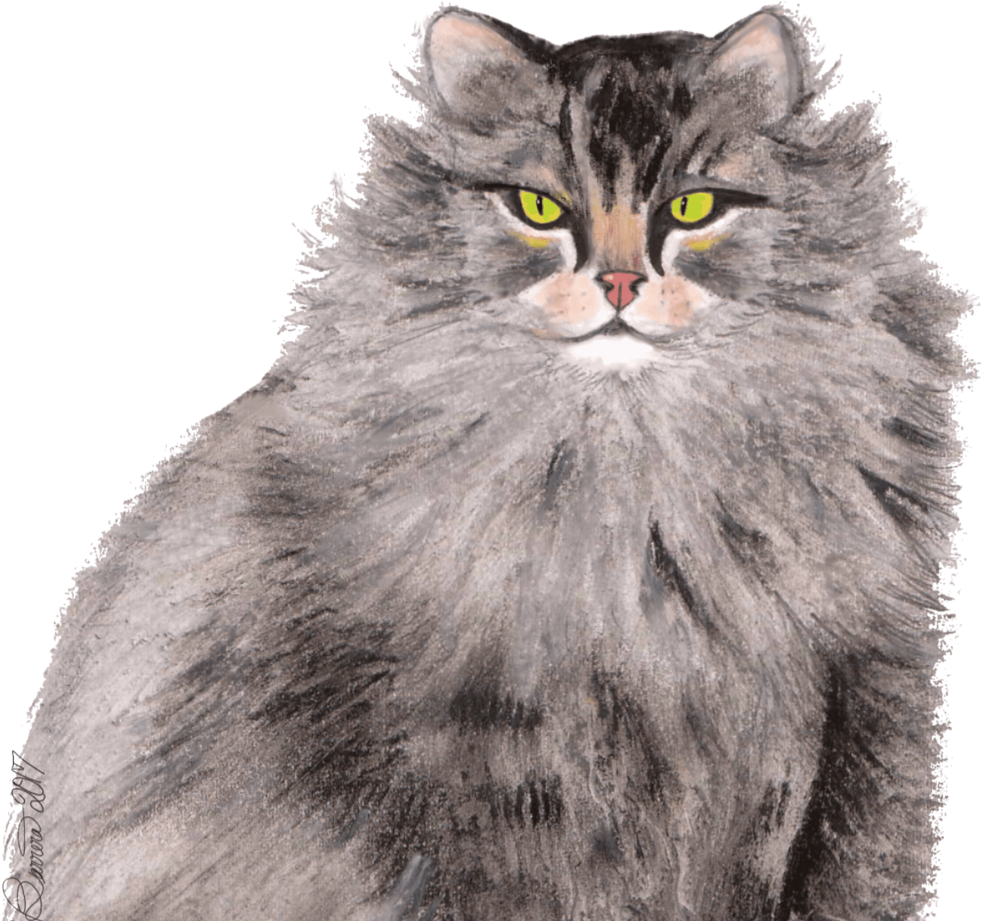 Greymainecoon Catsitting 8 Png - Domestic Long-haired Cat (2550x1434), Png Download