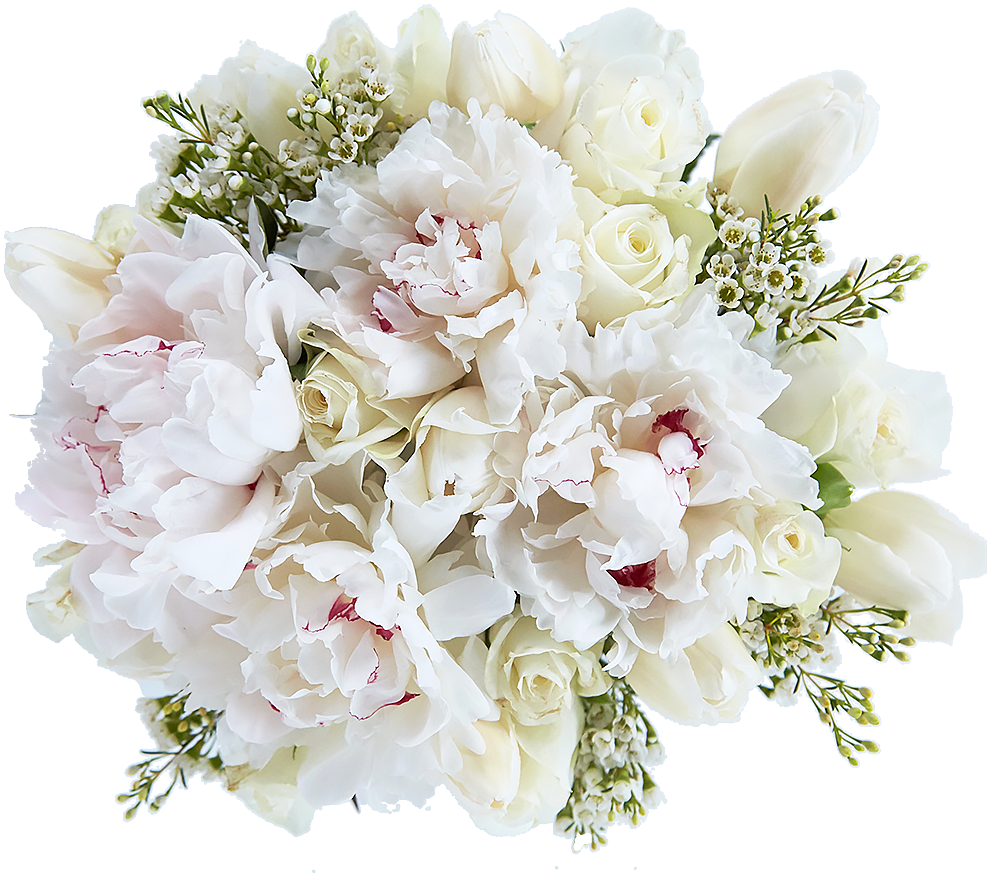 Download White Rabbit - Bouquet PNG Image with No Background - PNGkey.com