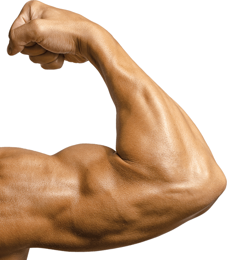 Download Slider 1819 Vanya Bicep - Bicep Flex Closeup PNG Image with No  Background 