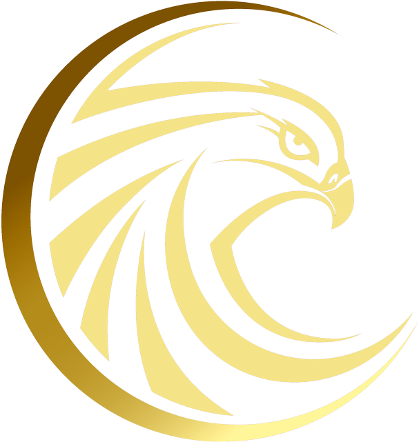 Download Hero Falcons لوجو صقر Png Png Image With No Background Pngkey Com