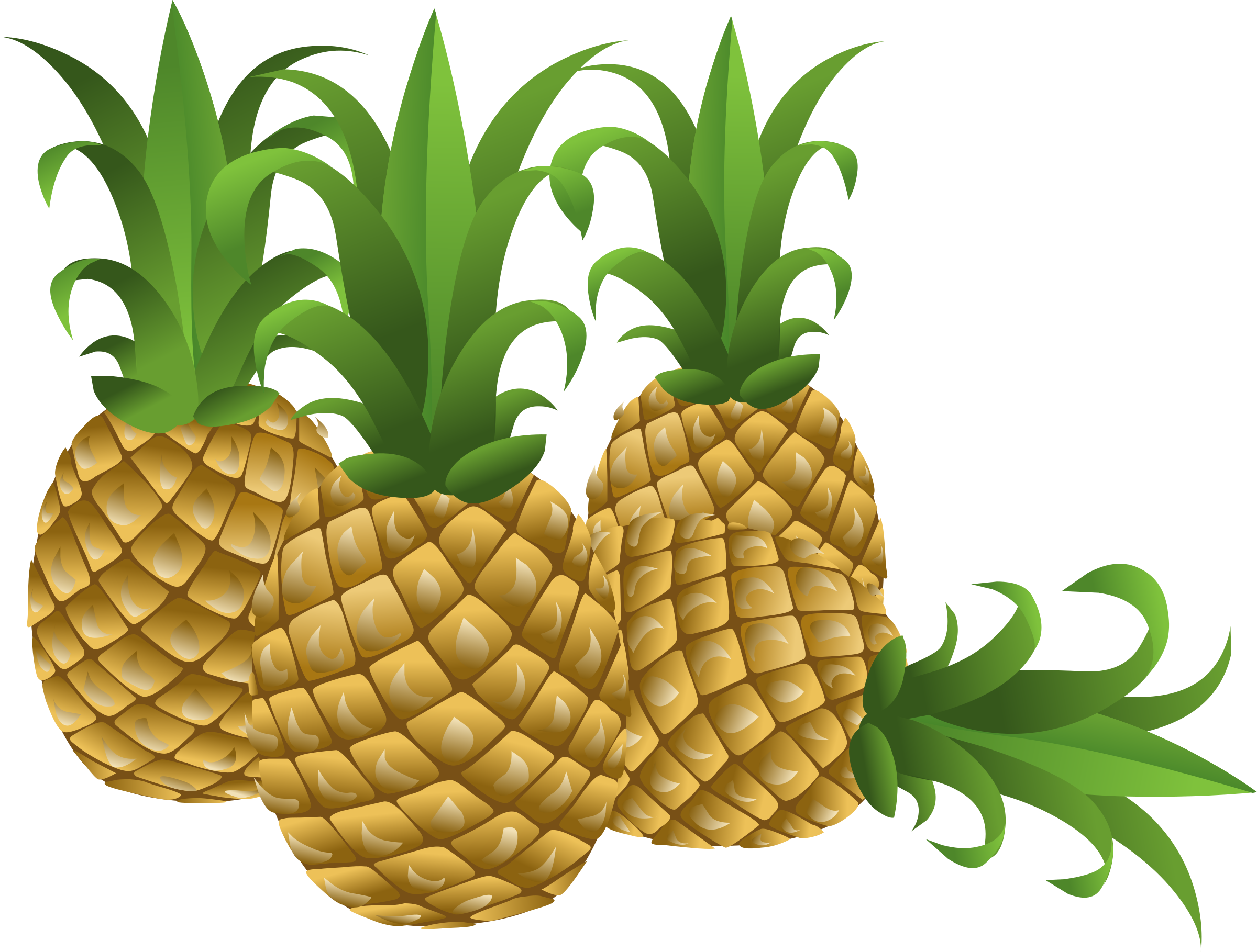 This Free Icons Png Design Of Food Pineapple (2400x1819), Png Download