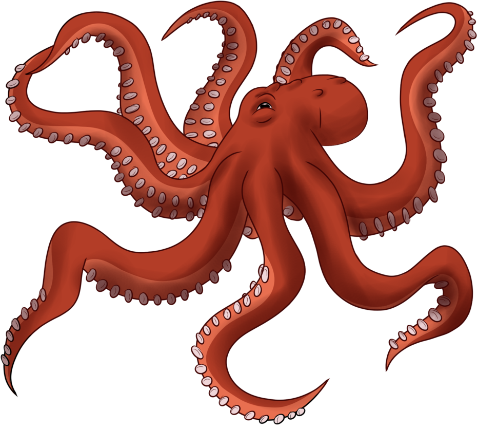 Download Octopus Png PNG Image with No Background - PNGkey.com