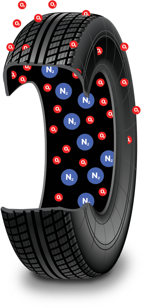 Download Benefits Of Nitrogen Nitrogen Png Image With No Background Pngkey Com