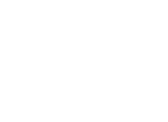 boss logo