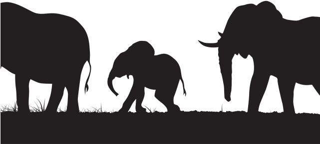download elephant silhouettes cliparts elephant silhouette png png image with no background pngkey com elephant silhouette png png image with