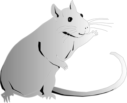 Animal Rat Rodent Rat Rat Rat Rat Rat - Clip Art (417x340), Png Download