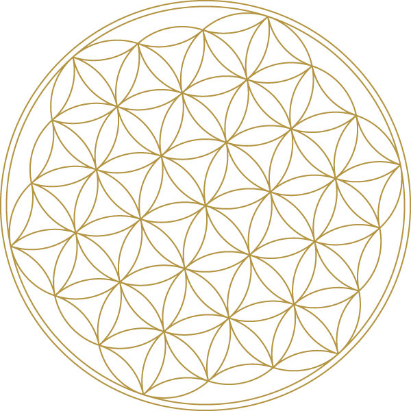 Download Line Art Mandala Geometric PNG Image with No Background ...