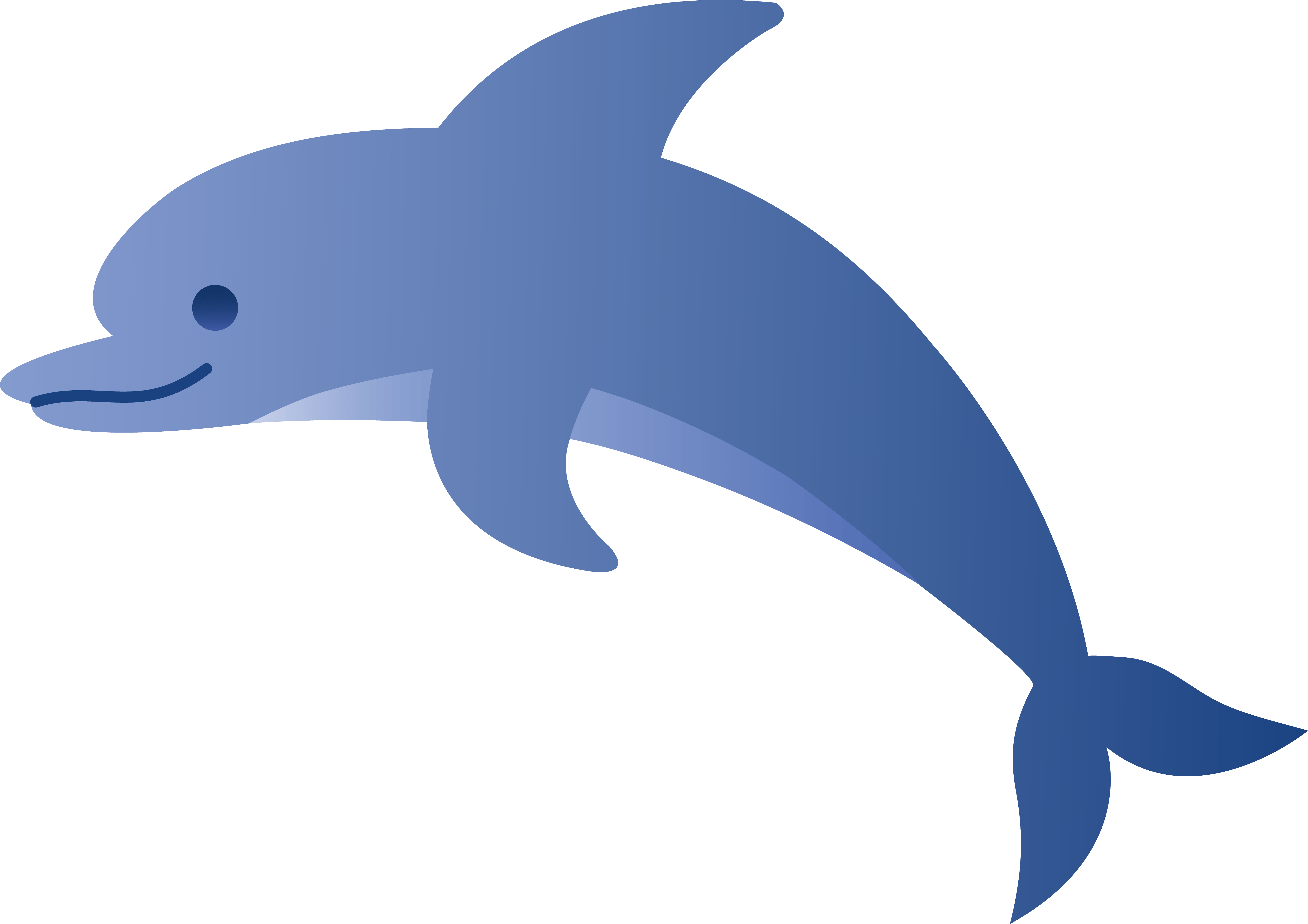 Download Cartoon Dolphin Image Dolphin Clipart Png Image With No Background Pngkey Com