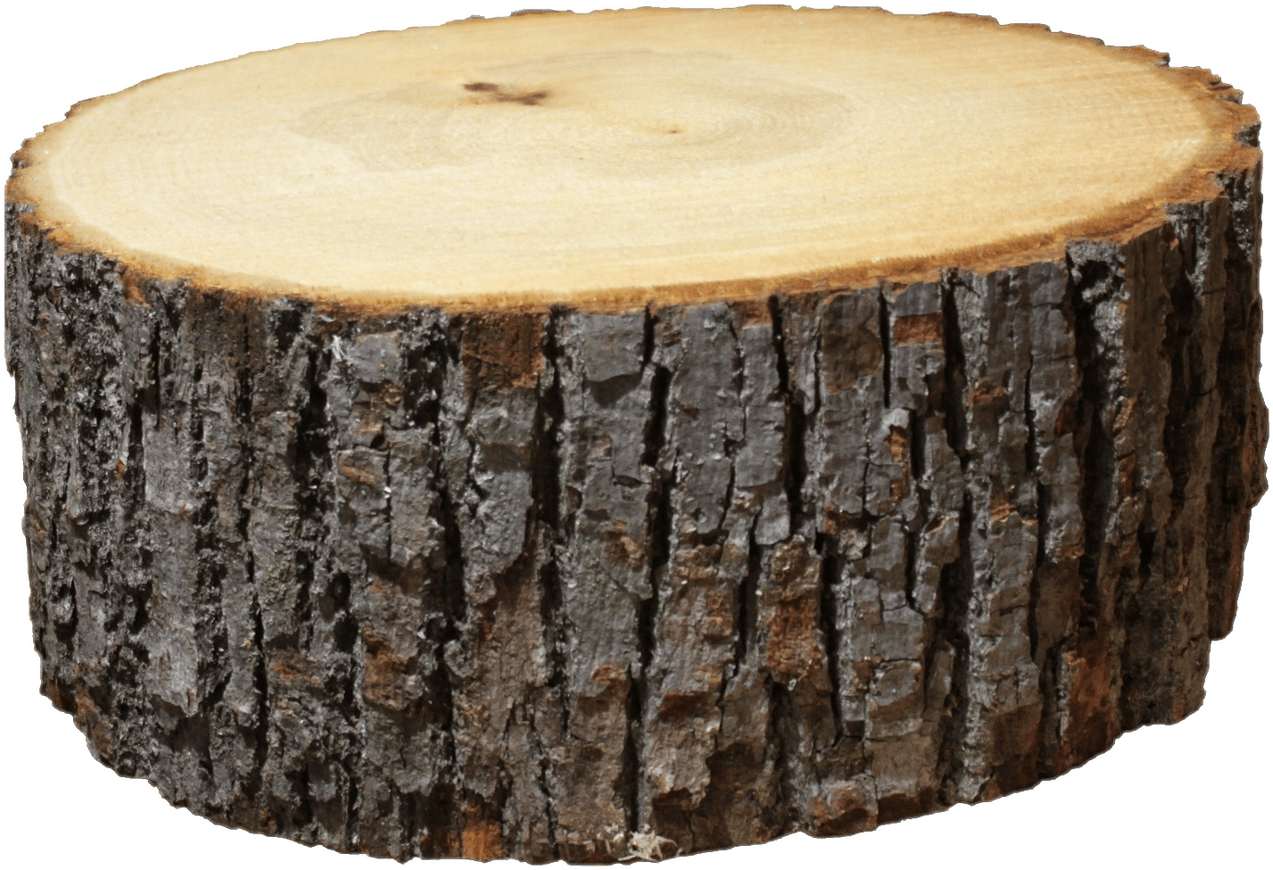 Logs - Wood Log Png - Free Transparent PNG Download - PNGkey