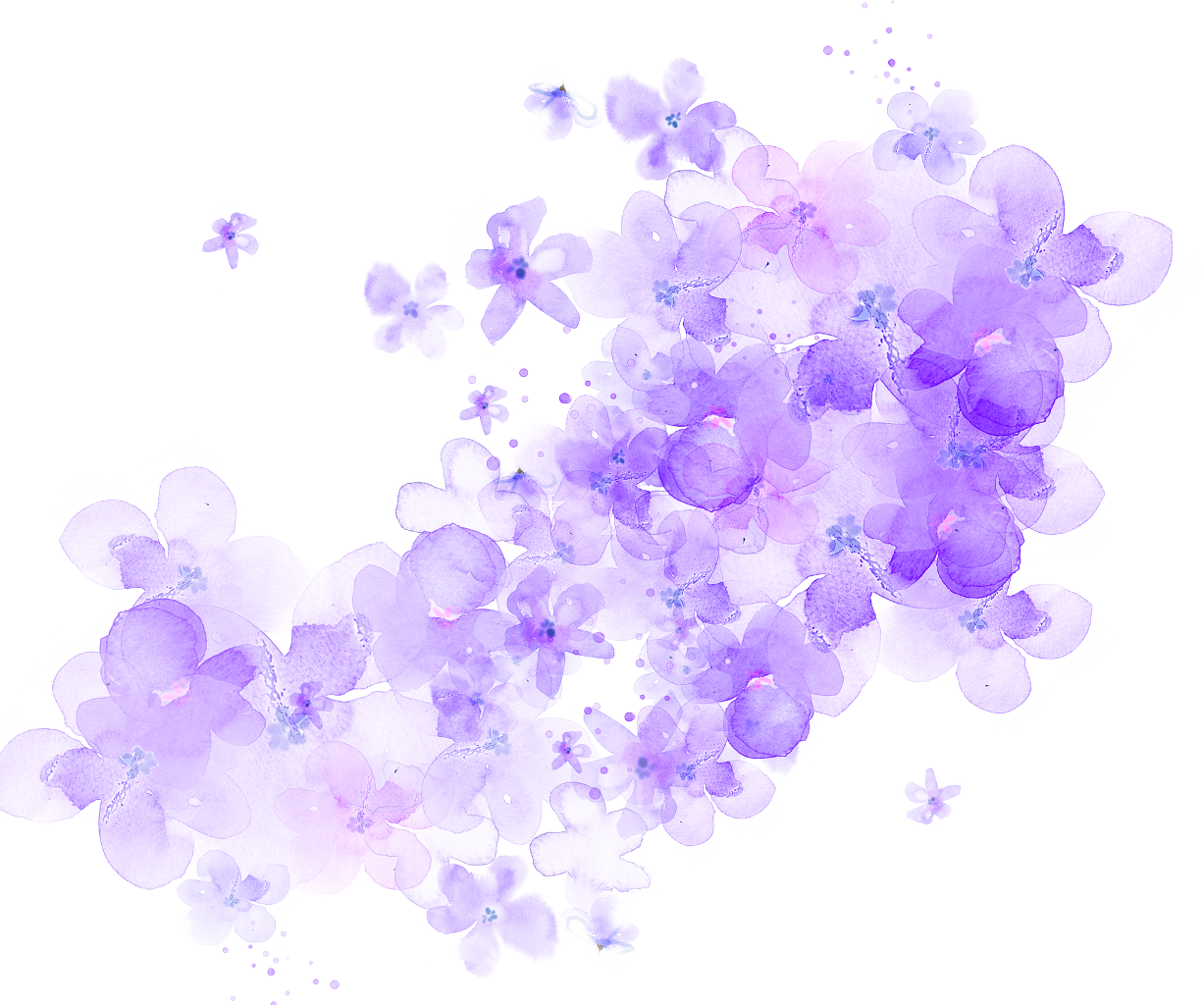 Ftestickers Watercolor Flowers Purple Transparent - Cherry Blossom