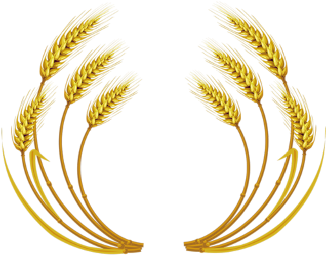 Free Download Wheat Vector Clipart Wheat Clip Art - Wheat Vector - Free ...