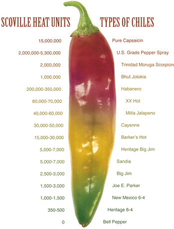 Download Scoville Scale On A Hatch Chile Pod - Green Chilli Scoville ...