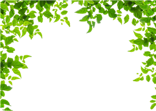 Leaf Borders Png - Leaf Borders And Frames - Free Transparent PNG