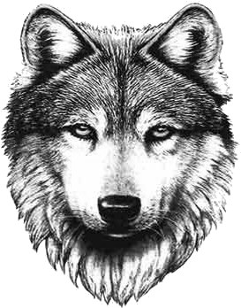 Getting A Wolf Tat Sooooon - Wolf Tattoo - Free Transparent PNG ...