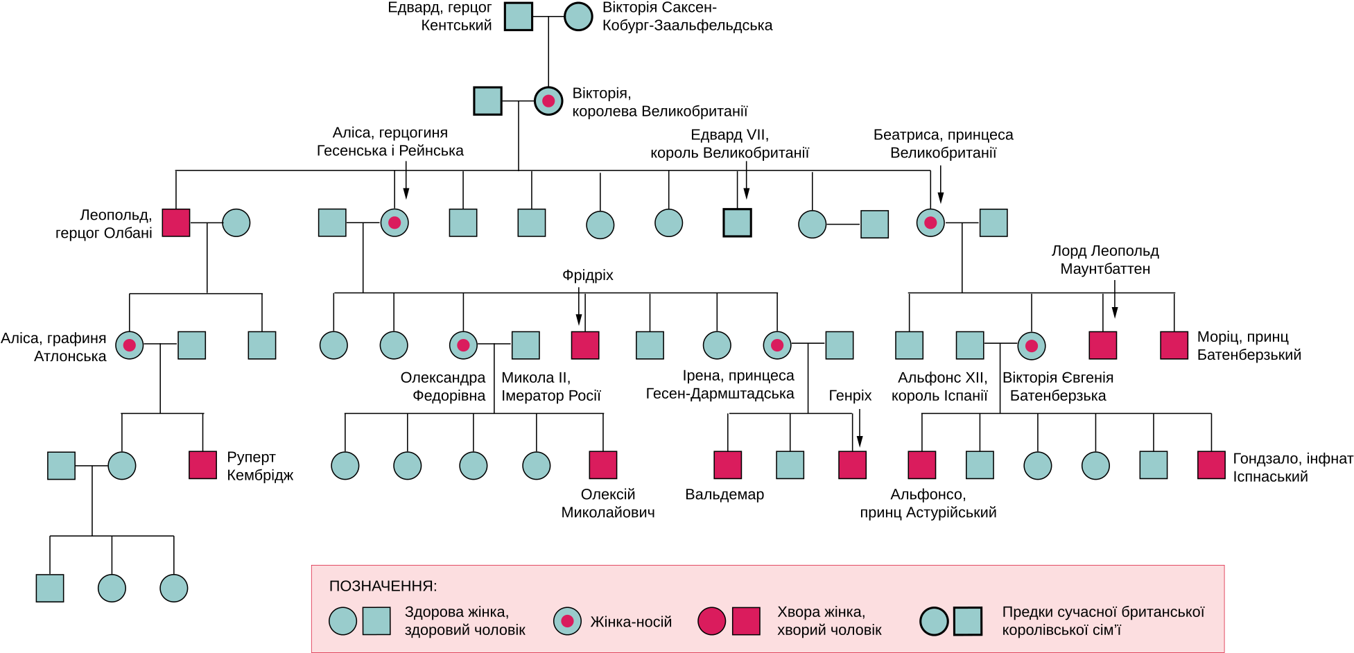 Descendants Of Queen Victoria Family Tree