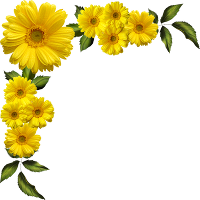 Download Fondos De Girasoles Png Yellow Flowers Border Png Png Image With No Background Pngkey Com
