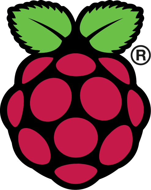 We Will Refer To This As The “raspberry Pi Logo” - Raspberry Pi Logo Png (493x620), Png Download