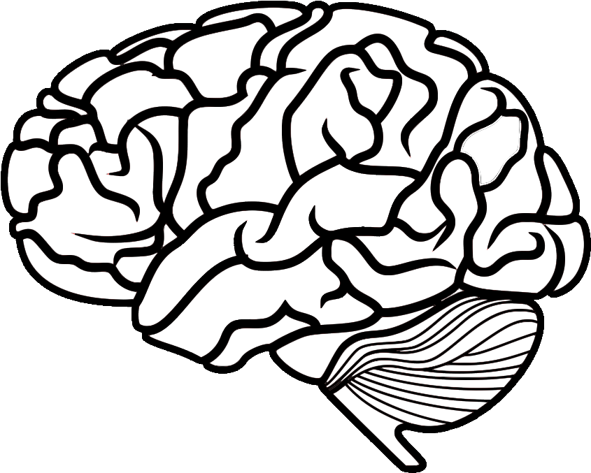 Download The Basics On Medical Ozone - Black Brain, White Brain By ...