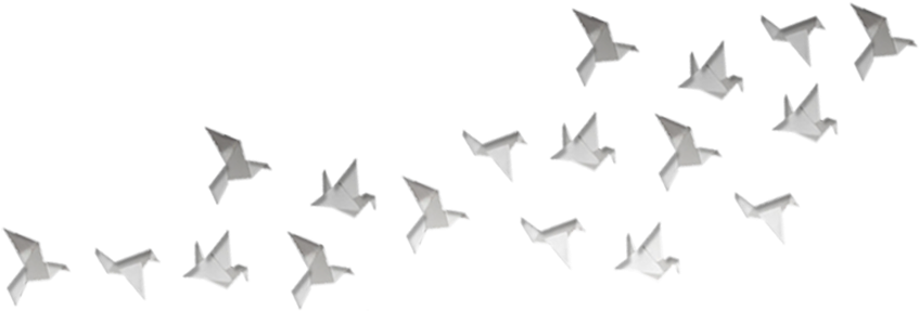 Download Birds - Picsart White Png PNG Image with No Background 