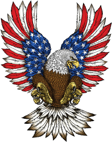Usa Eagle Png Image Transparent Download - American Flag 4th Of July Eagle Usa Matching Couples (628x628), Png Download