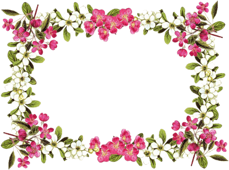 Download Flower Border Png PNG Image with No Background - PNGkey.com